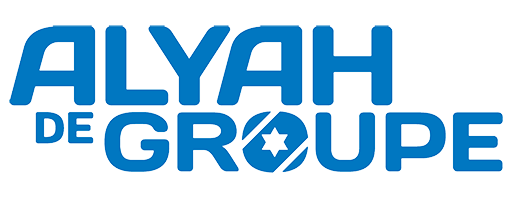 Logo alya de groupe